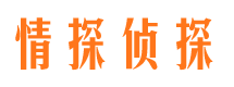 逊克私家侦探